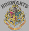 Men's Harry Potter Vintage Hogwarts Crest Pull Over Hoodie