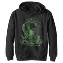 Boy's Harry Potter Slytherin S Logo Pull Over Hoodie