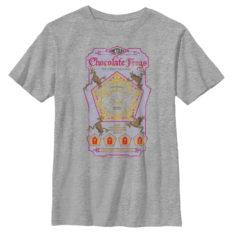 Boy's Harry Potter Chocolate Frogs T-Shirt