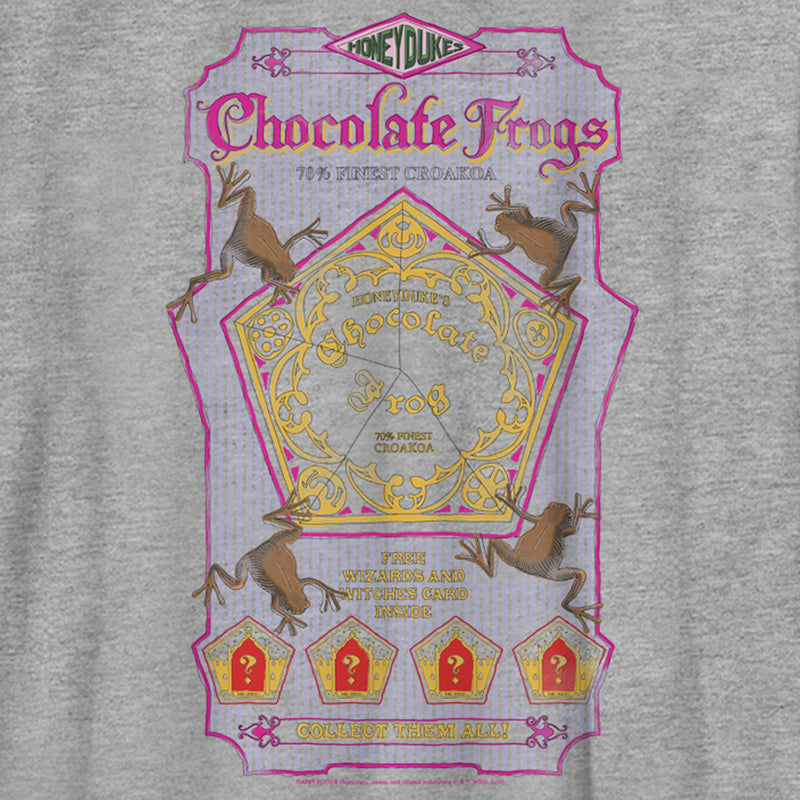 Boy's Harry Potter Chocolate Frogs T-Shirt