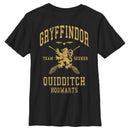 Boy's Harry Potter Gryffindor Quidditch Gold Team Seeker T-Shirt