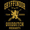 Boy's Harry Potter Gryffindor Quidditch Gold Team Seeker T-Shirt