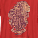 Boy's Harry Potter Gryffindor Coat of Arms T-Shirt