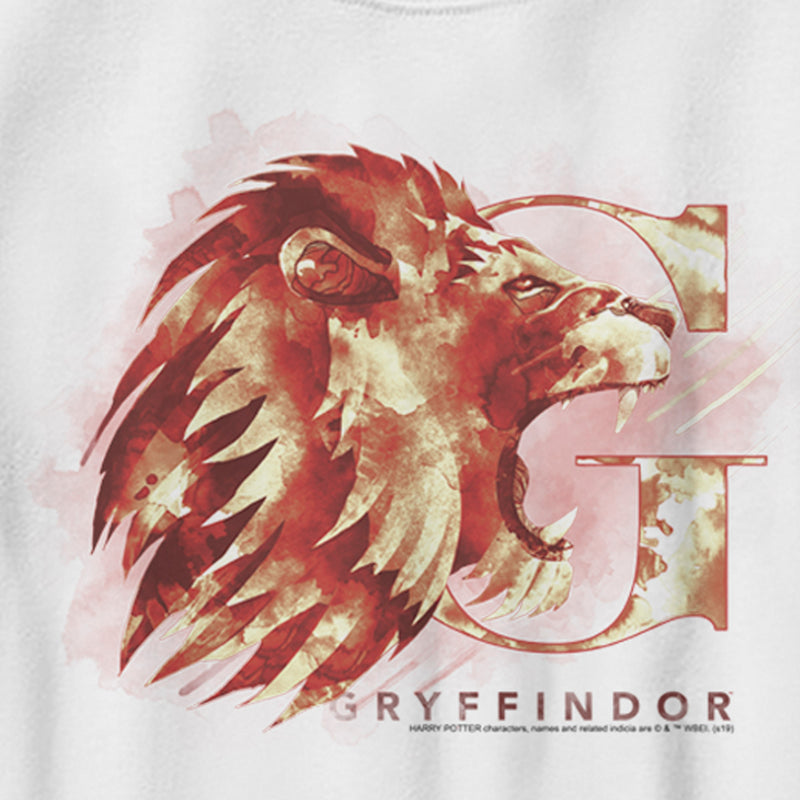 Boy's Harry Potter Gryffindor Lion Watercolor T-Shirt