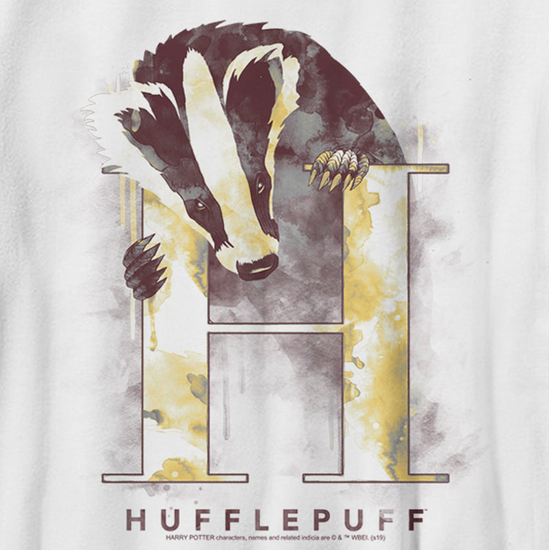 Boy's Harry Potter Hufflepuff Badger Watercolor T-Shirt