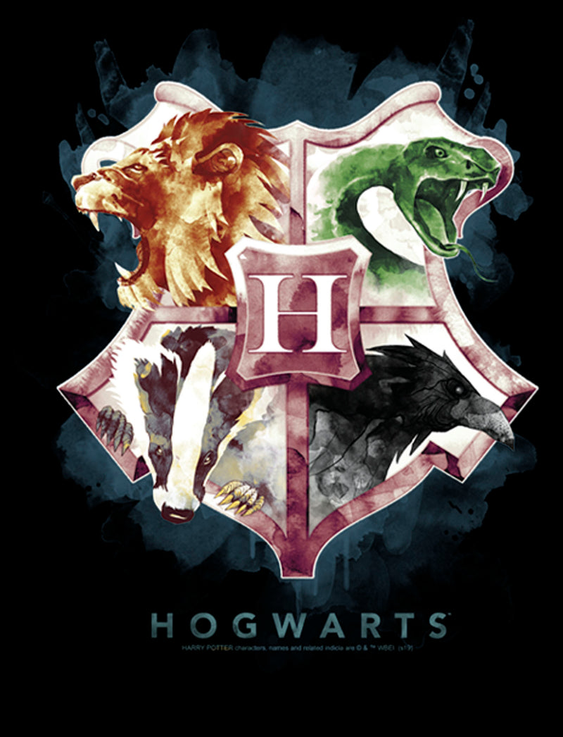 Men's Harry Potter Hogwarts Watercolor Symbols Pull Over Hoodie