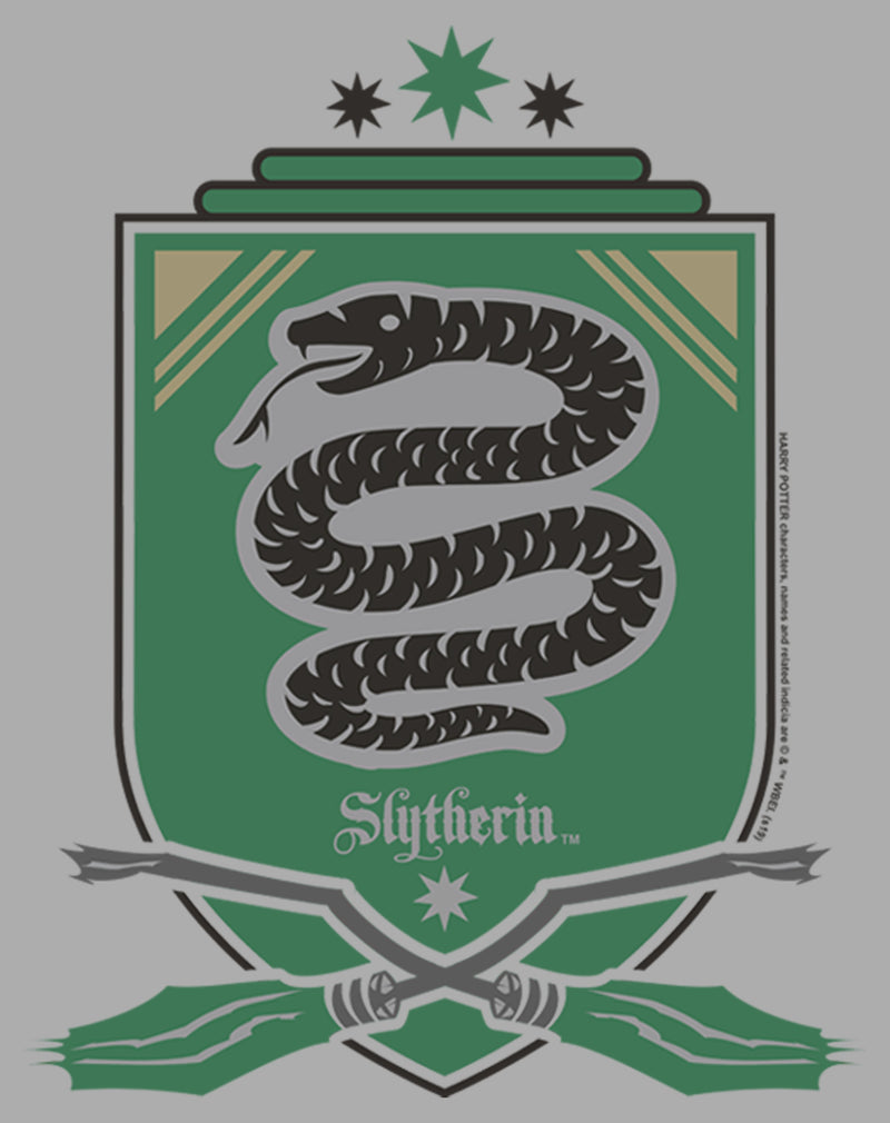 Boy's Harry Potter Quidditch Slytherin Team Crest T-Shirt