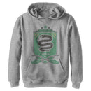 Boy's Harry Potter Quidditch Slytherin Team Crest Pull Over Hoodie