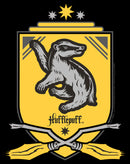 Boy's Harry Potter Quidditch Hufflepuff Team Crest T-Shirt