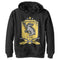 Boy's Harry Potter Quidditch Hufflepuff Team Crest Pull Over Hoodie