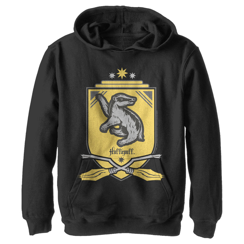 Boy's Harry Potter Quidditch Hufflepuff Team Crest Pull Over Hoodie