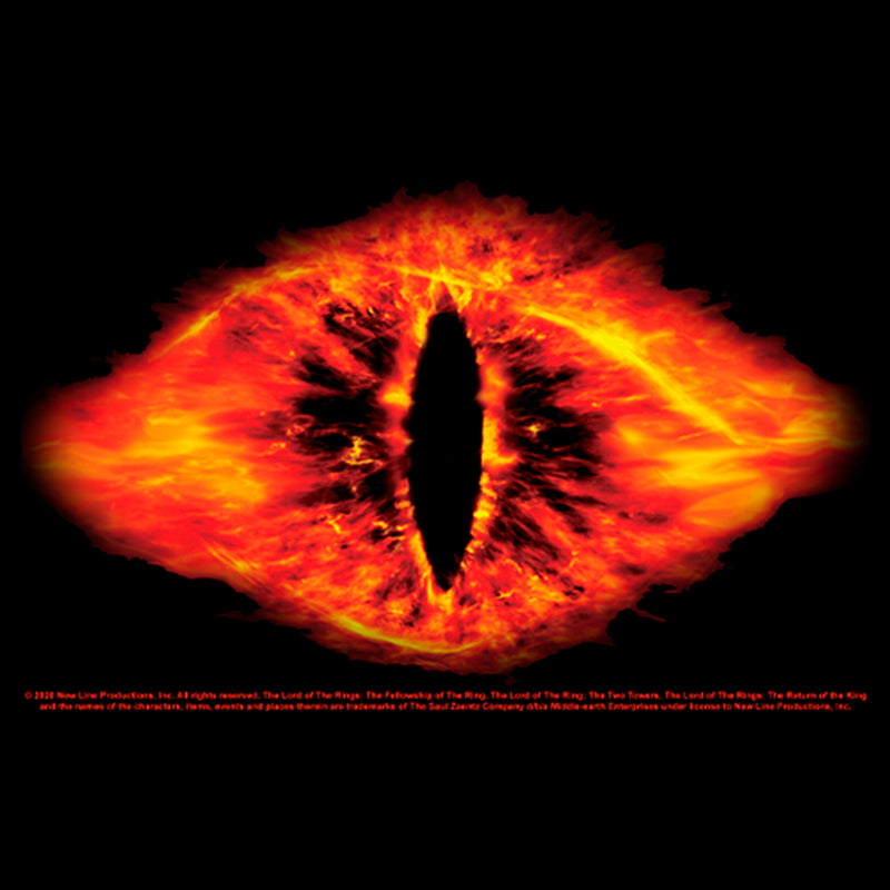 Men's The Lord of the Rings Fellowship of the Ring The Eye T-Shirt