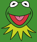 Boy's The Muppets Kermit Costume Tee T-Shirt