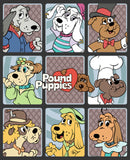Boy's Pound Puppies Character Box T-Shirt