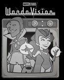 Men's Marvel WandaVision Vintage TV T-Shirt