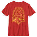 Boy's Harry Potter Gryffindor Line Art Crest T-Shirt