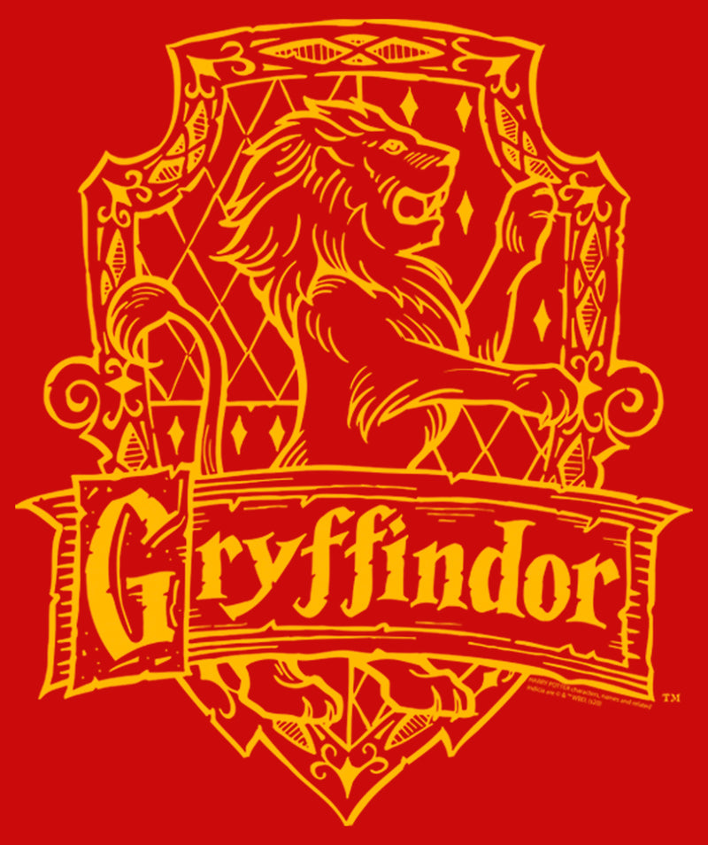 Boy's Harry Potter Gryffindor Line Art Crest T-Shirt