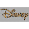 Boy's Disney Leopard Print Logo T-Shirt