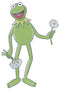 Boy's The Muppets Kermit Flower Bouquet T-Shirt
