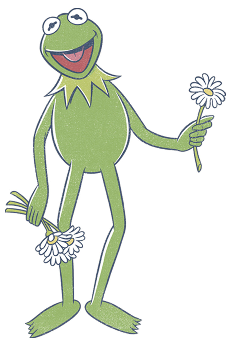 Boy's The Muppets Kermit Flower Bouquet T-Shirt