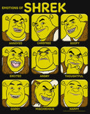 Girl's Shrek Shrek's Emotions Chart T-Shirt