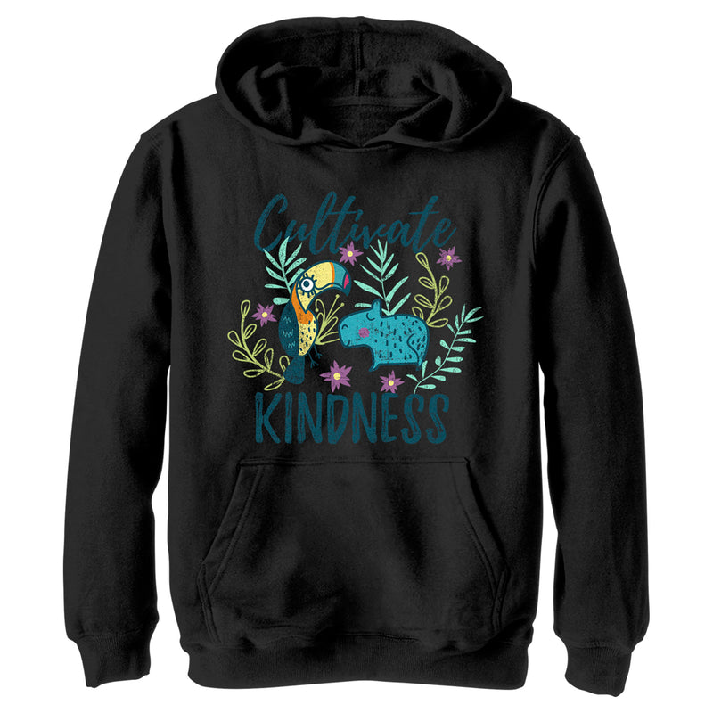 Boy's Encanto Cultivate Kindness Pull Over Hoodie