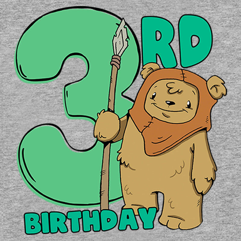 Boy's Star Wars 3rd Birthday Cute Ewok T-Shirt