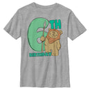 Boy's Star Wars 6th Birthday Cute Ewok T-Shirt