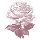 Women's Lost Gods Rose Sketch T-Shirt