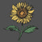 Women's Lost Gods Sunflower T-Shirt