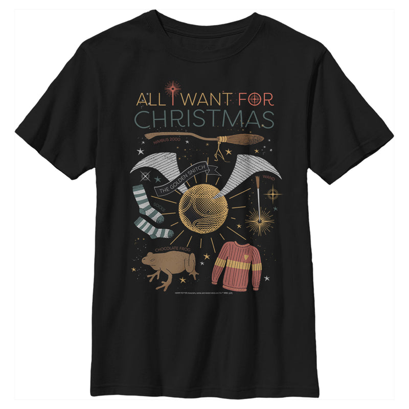 Boy's Harry Potter All I Want for Wizard Christmas T-Shirt