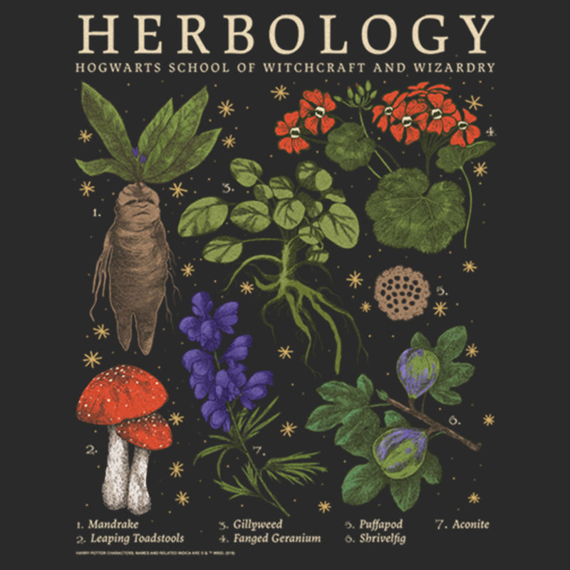 Junior's Harry Potter Hogwarts Herbology Chart Sweatshirt