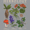 Junior's Harry Potter Herbology Chart T-Shirt
