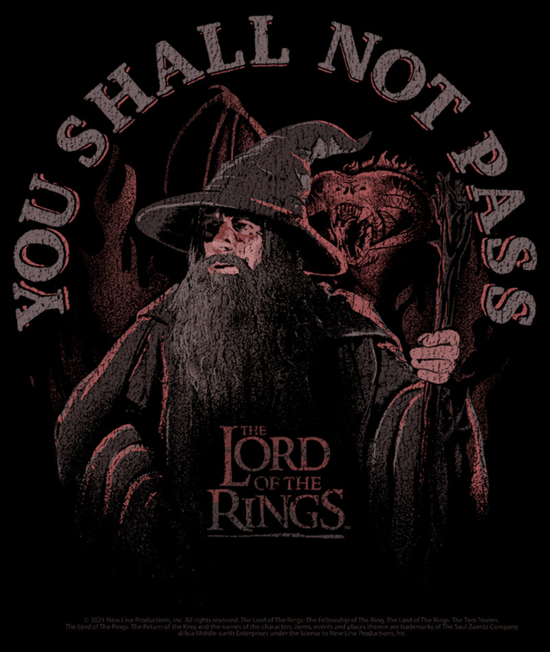 Men's The Lord of the Rings Fellowship of the Ring Gandalf You Shall Not Pass T-Shirt