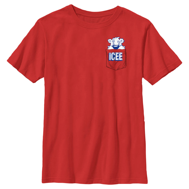 Boy's ICEE Peekaboo Bear T-Shirt