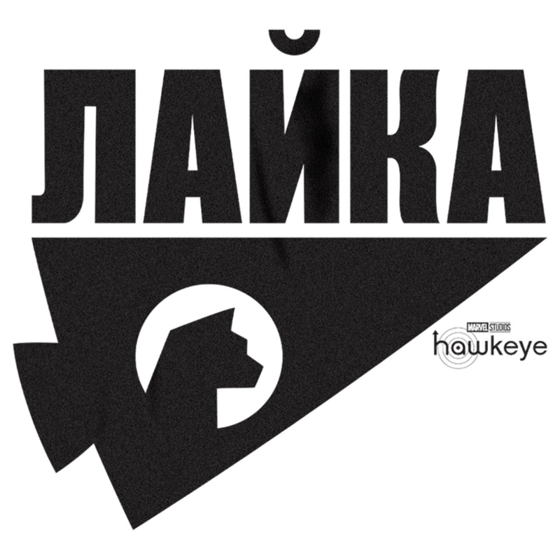 Men's Marvel Hawkeye Russian Hawkeye Logo T-Shirt