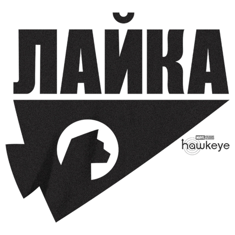 Boy's Marvel Hawkeye Russian Hawkeye Logo T-Shirt