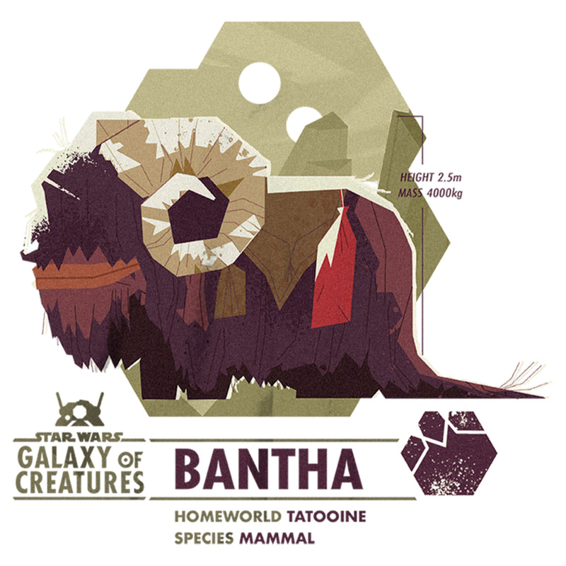 Boy's Star Wars: Galaxy of Creatures The Bantha T-Shirt