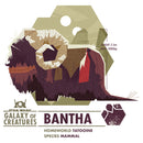 Girl's Star Wars: Galaxy of Creatures The Bantha T-Shirt