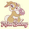 Men's Bambi Valentine's Day Thumper Miss Bunny T-Shirt