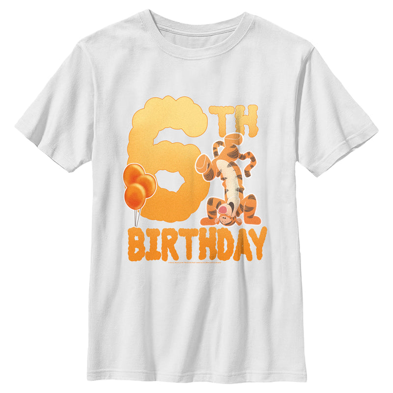 Boy's Winnie the Pooh Tigger 6th Birthday T-Shirt