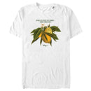 Men's LRG When Life Gives You Lemons… T-Shirt