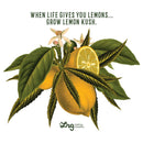 Men's LRG When Life Gives You Lemons… T-Shirt