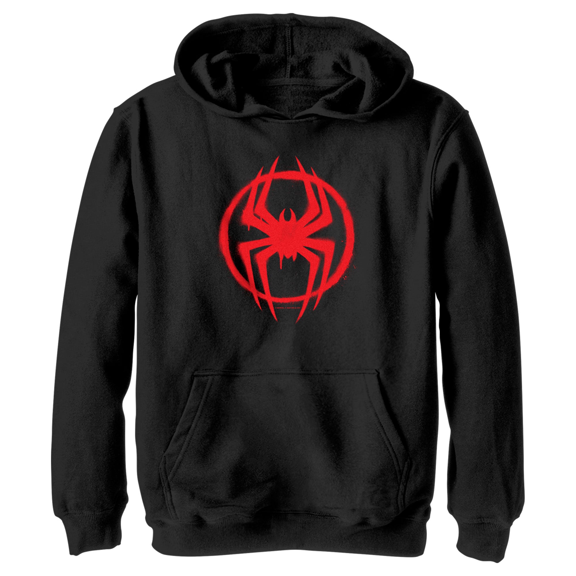 Boy's Spider-Man: Across the Spider-Verse Graffiti Spider