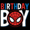 Boy's Marvel Spider-Man Birthday Boy Mask T-Shirt