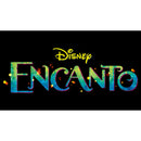 Men's Encanto Colorful Logo Pull Over Hoodie