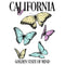 Junior's Lost Gods California Butterflies T-Shirt