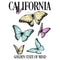 Women's Lost Gods California Butterflies Scoop Neck