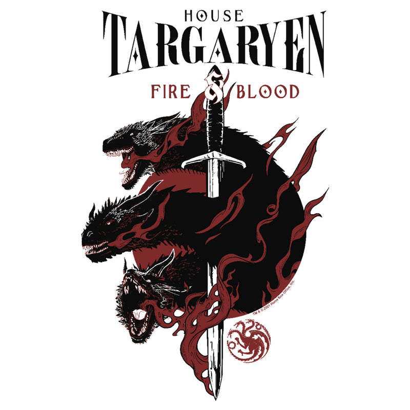 Men's Game of Thrones House Targaryen's Dragons T-Shirt