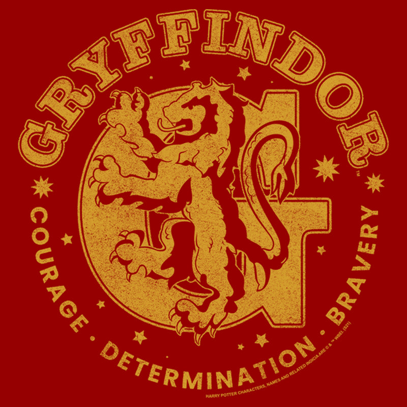 Men's Harry Potter Gryffindor Courage, Determination, and Bravery T-Shirt